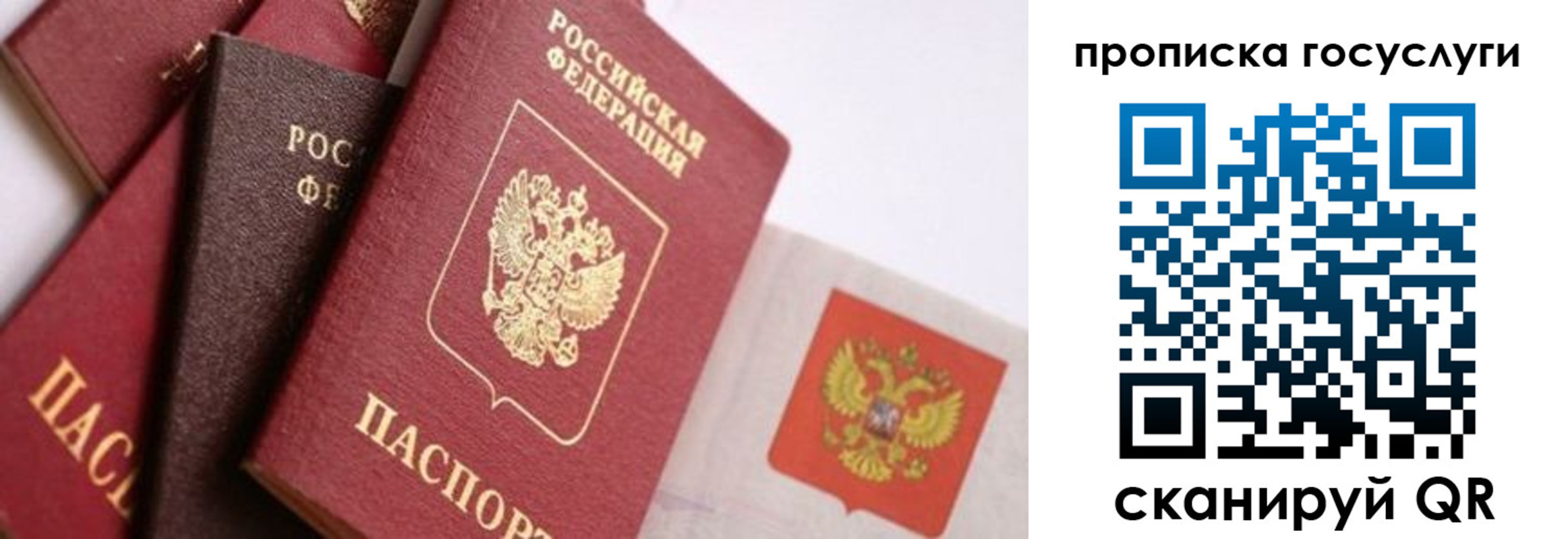 прописка законно в Ипатово